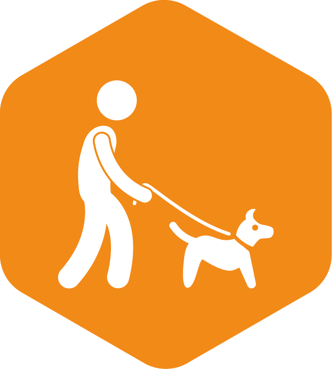 Garde d'animaux