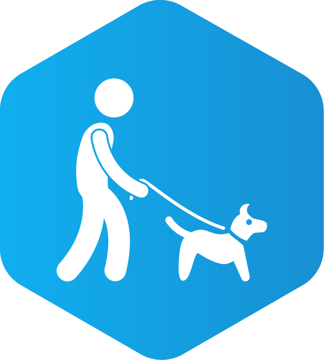 Garde d'animaux